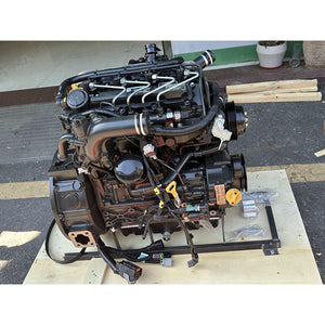 D24 D24-C3-CR Complete Diesel Engine Assy 7127082 2100RPM 38.9KW For Doosan